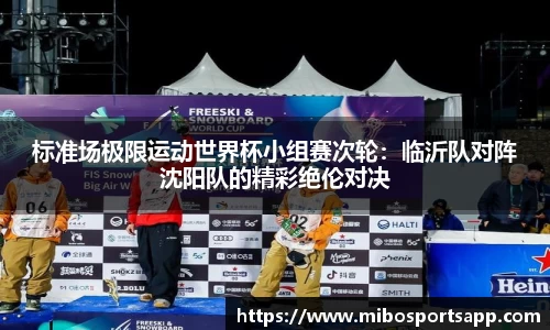 标准场极限运动世界杯小组赛次轮：临沂队对阵沈阳队的精彩绝伦对决